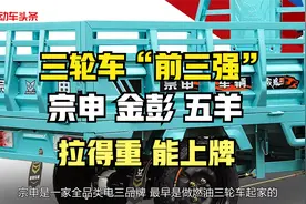 三轮车“前三强”，宗申、金彭、五羊，拉得重、能上牌、用得久视频封面
