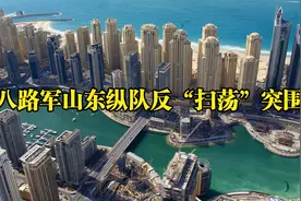 八路军山东纵队反“扫荡”突围视频封面