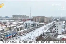 大风+降温+雨雪！山东春节期间冷空气频繁，鲁南和半岛地区有雨雪视频封面