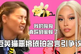 豆荚猫的狗狗真的踩到蜜蜂了 模仿被外网骂视频封面