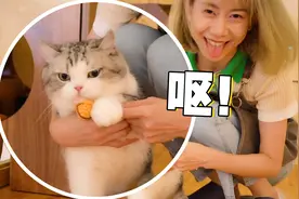 给全网脚最臭的小猫咪打了一天工，我已窒息……视频封面
