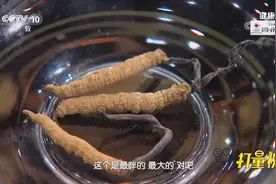 干货！专家教你鉴别真假冬虫夏草，快来学学避免被坑|健康之路视频封面