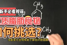 优质脂肪食物视频封面
