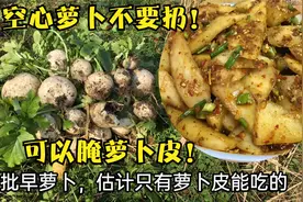 地里早萝卜空心了，拔回家腌萝卜皮吃，萝卜皮比萝卜好吃！视频封面