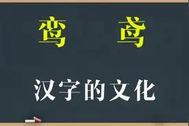 知识讲堂：汉字“鸾”和“鸢”啥意思？解密背后的文化寓意视频封面