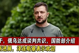 终于，俄乌达成谈判共识，国防部介绍最新进展，泽连斯基表示欢迎视频封面