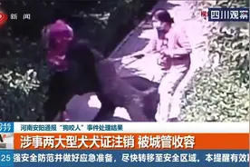 安阳通报“狗咬人”事件处理结果，当事人被撤职，多名干部被问责视频封面