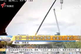 江苏一信号塔突然倾倒 安装工人坠亡视频封面