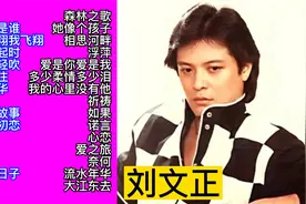 怀旧金曲：刘文正经典歌曲精选30首大联唱