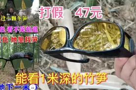 拼多多47元黑科技眼镜，据说它能看清1米土深的竹笋？这是真的吗视频封面