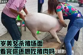 十八岁美女杀猪，场面壮观，看完猪肉瞬间就不香了视频封面