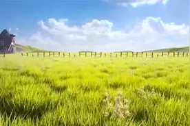 催眠排行榜第一名给你最好的睡眠，明月松间照，清泉石上流。视频封面