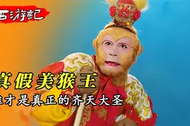 真假美猴王中被消灭的究竟是谁？六耳猕猴是否真的存在视频封面
