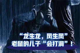 “龙生龙，凤生凤”，老鼠的儿子“会打洞”！视频封面