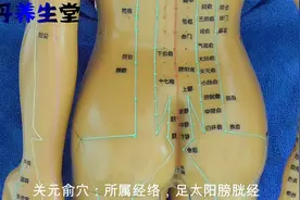 关元俞穴主治：风劳腰痛，泄痢，虚胀，小便难，妇人瘕聚诸疾。视频封面