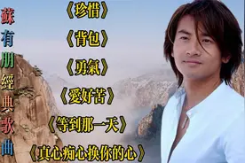 【苏有朋经典歌曲】《珍惜》《背包》《勇气》《爱好苦》视频封面