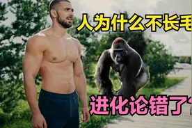 人为什么不长毛？为什么达尔文始终解不开这个谜题，违背进化论？视频封面