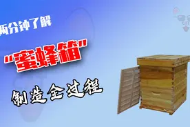 蜜蜂箱是怎么制造的？2分钟带你了解，工厂生产蜂箱全过程视频封面