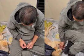 男子回家不想抛弃狗狗，想方设法带上了火车，怕打扰他人打地铺视频封面
