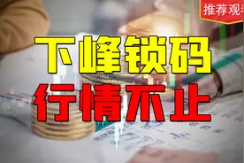 职业操盘手坦言：瞟一眼筹码峰，主力的想法，都能猜到！建议收藏视频封面