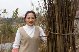 农村人养蜂特别讲究，地段一定要选好，这个地方正合适视频封面