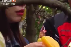 杨桃不仅好吃，还有这么多的功效，堪比“人参”|我爱返寻味0320