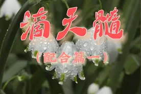 滴天髓（配合篇一）视频封面