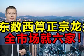 东数西算正宗龙头，全市场就这六家！视频封面