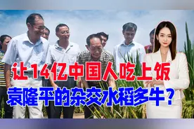 让14亿中国人吃上饭，袁隆平的杂交水稻多牛？看完视频你就懂了视频封面