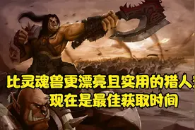 WLK有比灵魂兽还漂亮的猎人宠物?不但有而且更实用视频封面