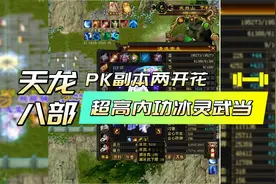 天龙八部：超高内功冰灵武当，PK副本两开花！视频封面