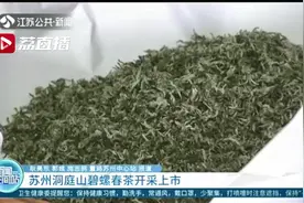 苏州洞庭山碧螺春茶开采上市视频封面