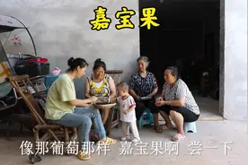 像黑珍珠一样的嘉宝果，甜甜的小拾都爱吃！泡酒肯定不错视频封面