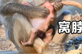 年轻猴妈用脚夹住孩子脑袋倒提检查便便，差点把孩子脖子撅断视频封面