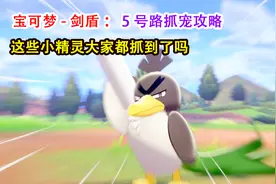 宝可梦剑盾：这里有伽勒尔形态大葱鸭，5号路小精灵抓捕攻略详解视频封面