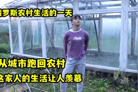 俄罗斯一家四口搬回农村，自己动手种菜养鹅，生活情况让人羡慕视频封面