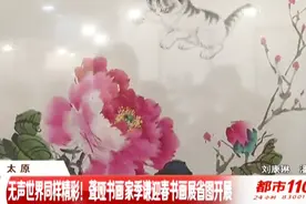 山西图书馆人头攒动，这个书画展有些特别，聋哑人作者感染民众视频封面