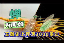 小小玉蝉，自西周时期开始，为何能在玉雕史上沿用3000多年！视频封面
