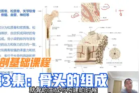 骨头由哪7部分组成？对人体有什么作用？听三个好医生讲完就明白视频封面