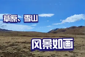 蓝天、白云、草原、雪山，罕见美景，犹如人间天堂视频封面