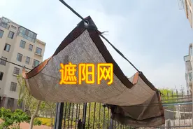 青岛一楼小院，遮阴网今年为什么拉这么早？说说原因视频封面