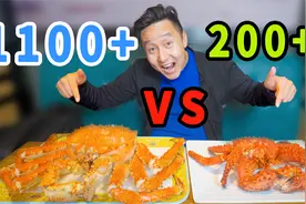 同样是帝王蟹，价格相差近5倍，究竟有啥不同？视频封面