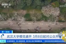 武汉大学樱花盛开！3月8日起对公众开放|第一时间视频封面