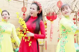 喜庆欢快好听的越南歌曲《ĐOẢN CA XUÂN DƯƠNG KIM》