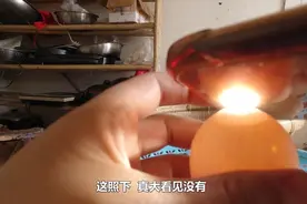农村妈妈又要孵化鸡娃了，小伙用手机看鸡蛋有没有受精，真神奇视频封面