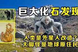 巨大远古骨骼化石发现大脚怪|大脚怪是原住民|人类是外星人改造？视频封面