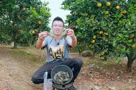 大虾与冰糖橙一锅炖，味道简直绝了，欢子三分钟教你学会视频封面
