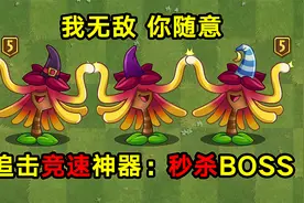 植物大讲堂：追击神器-金缕梅女巫，到底有多厉害？