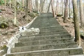 重庆市南泉和尚山健身步道，户外登山漫步爱好者的理想之地视频封面