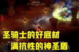【暗黑2重制版】每天4小时系列，满抗性神圣盾，极品精神盾底材